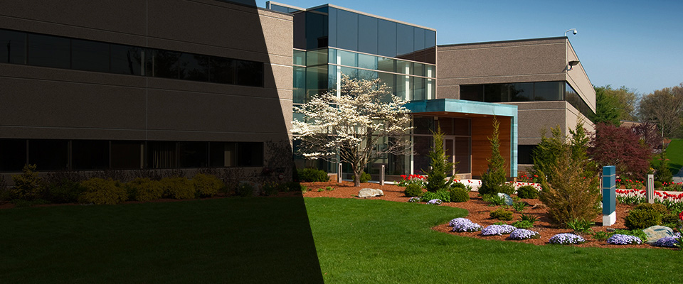 Coxs Creek Landscapers