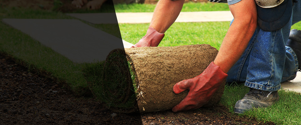 Coxs Creek Landscapers